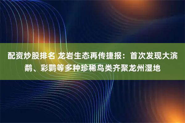 配资炒股排名 龙岩生态再传捷报：首次发现大滨鹬、彩鹮等多种珍稀鸟类齐聚龙州湿地